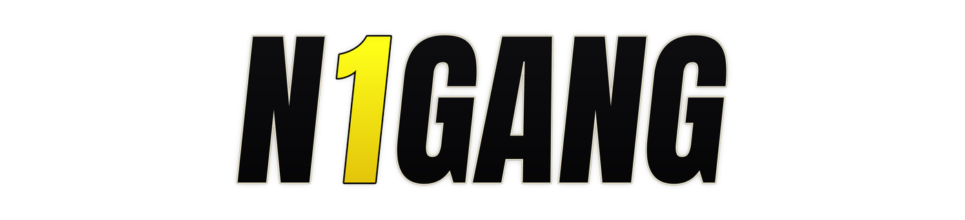 n1gang logo